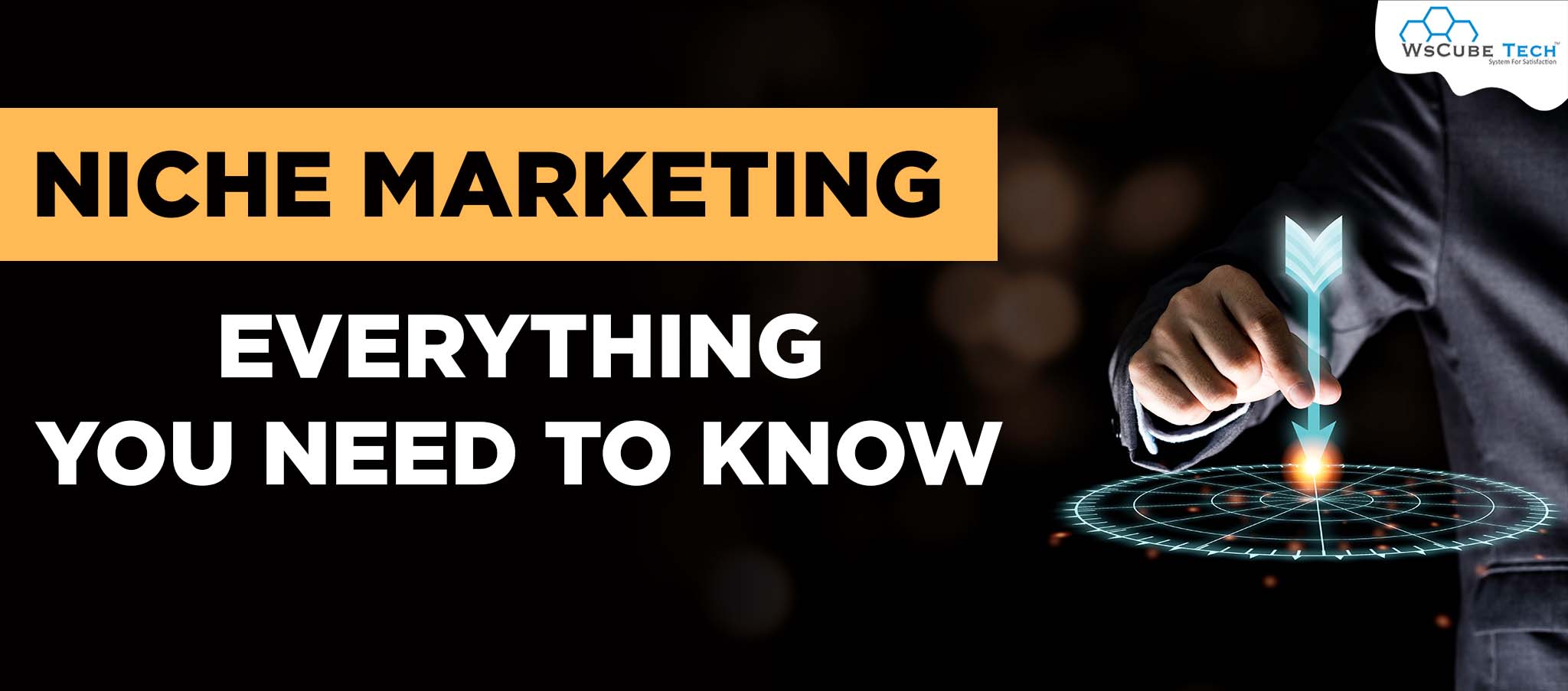 What is Niche Marketing? Meaning, Examples, Advantages & Disadvantages, Marketing Strategy