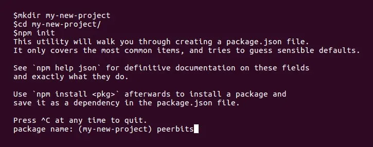 Start all projects with npm init