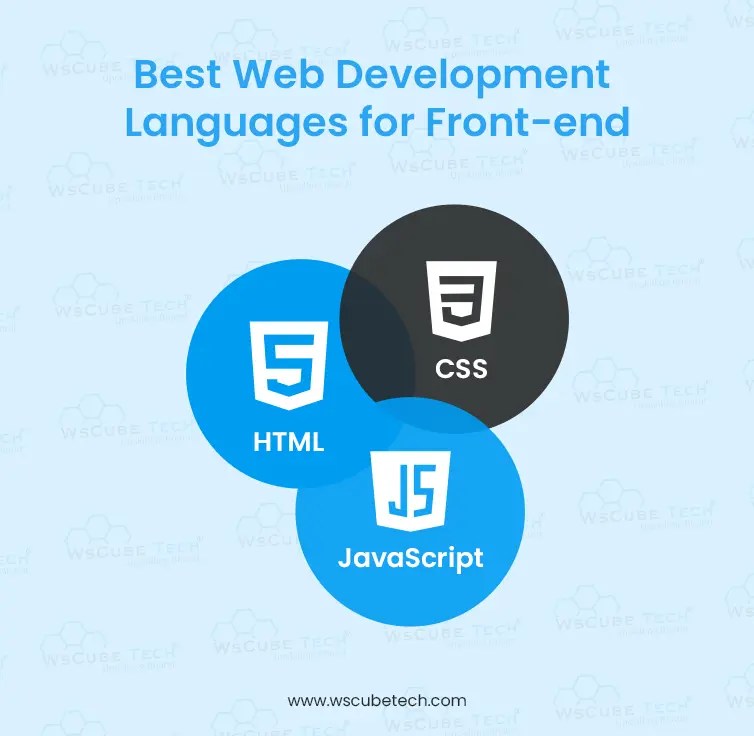 Best Web Development Languages for Front-end