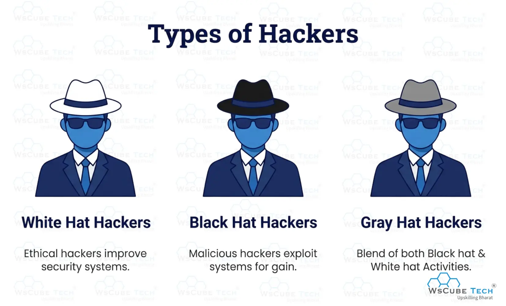 Types of Ethical Hackers 