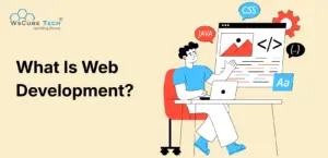 What is Web Development? Detailed Guide for Beginner’s