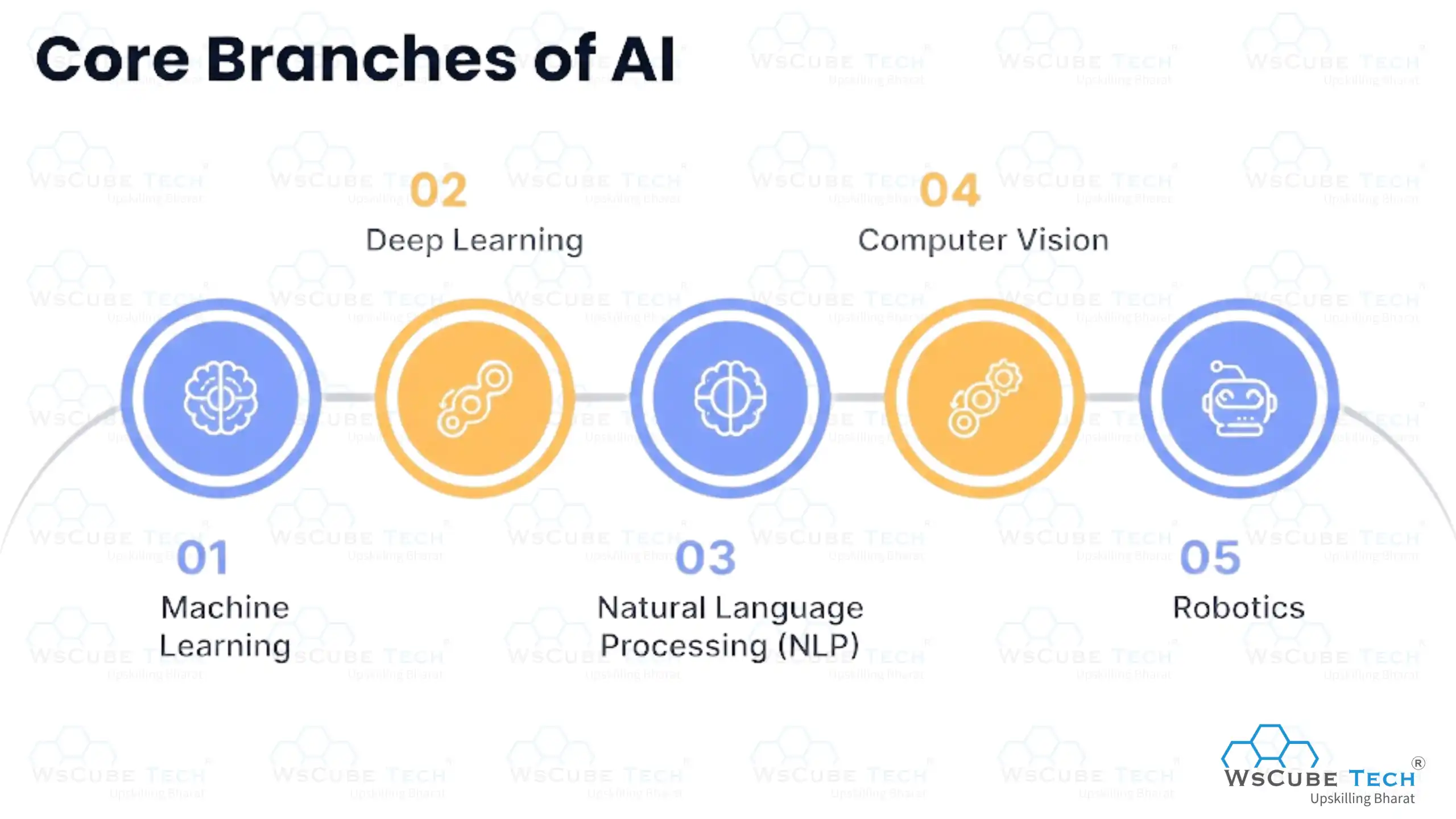 Core Branches of AI