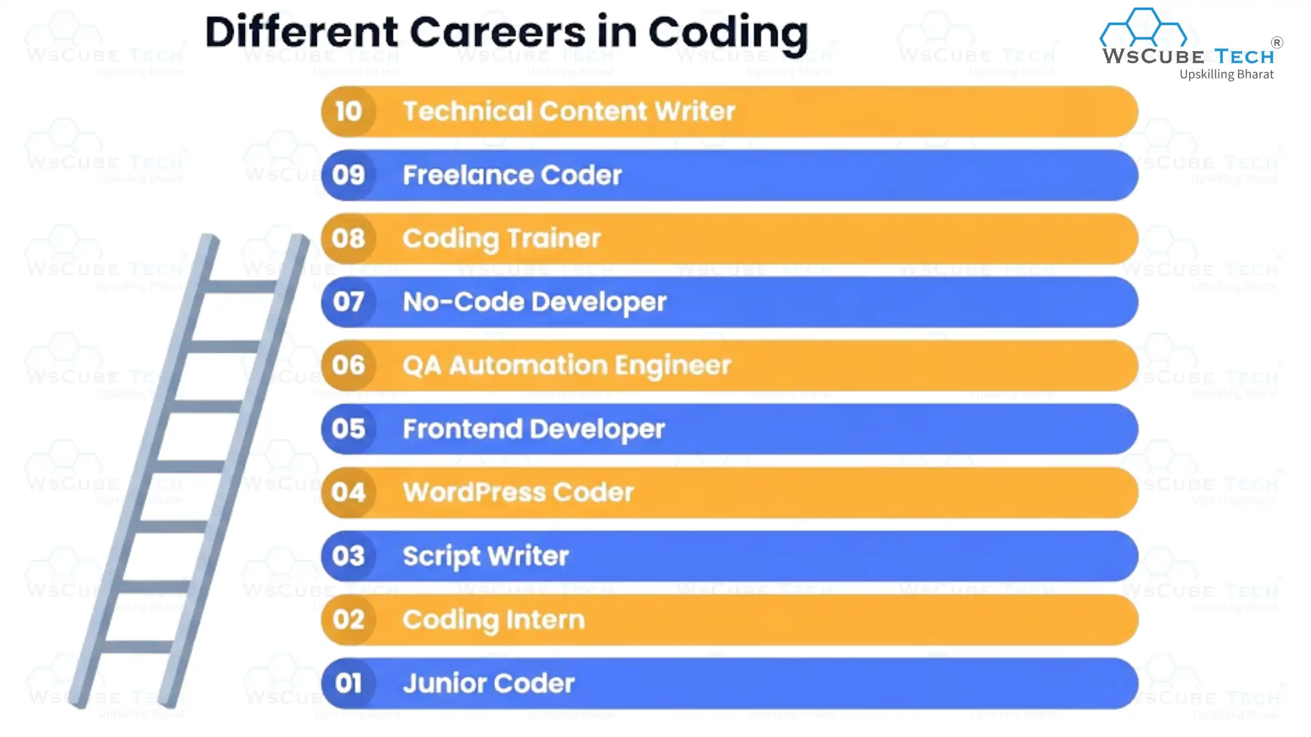 Different Careers in Coding