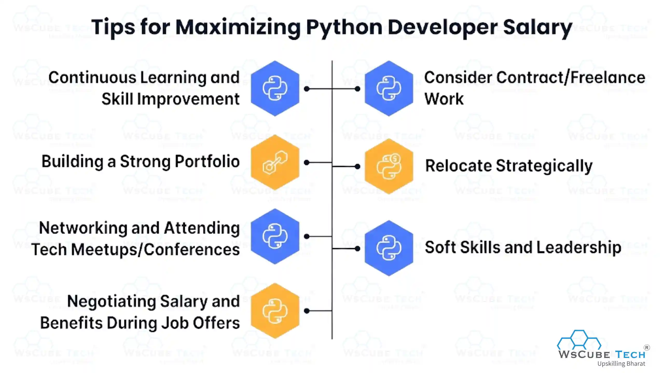 Tips for Maximizing Python Developer Salary