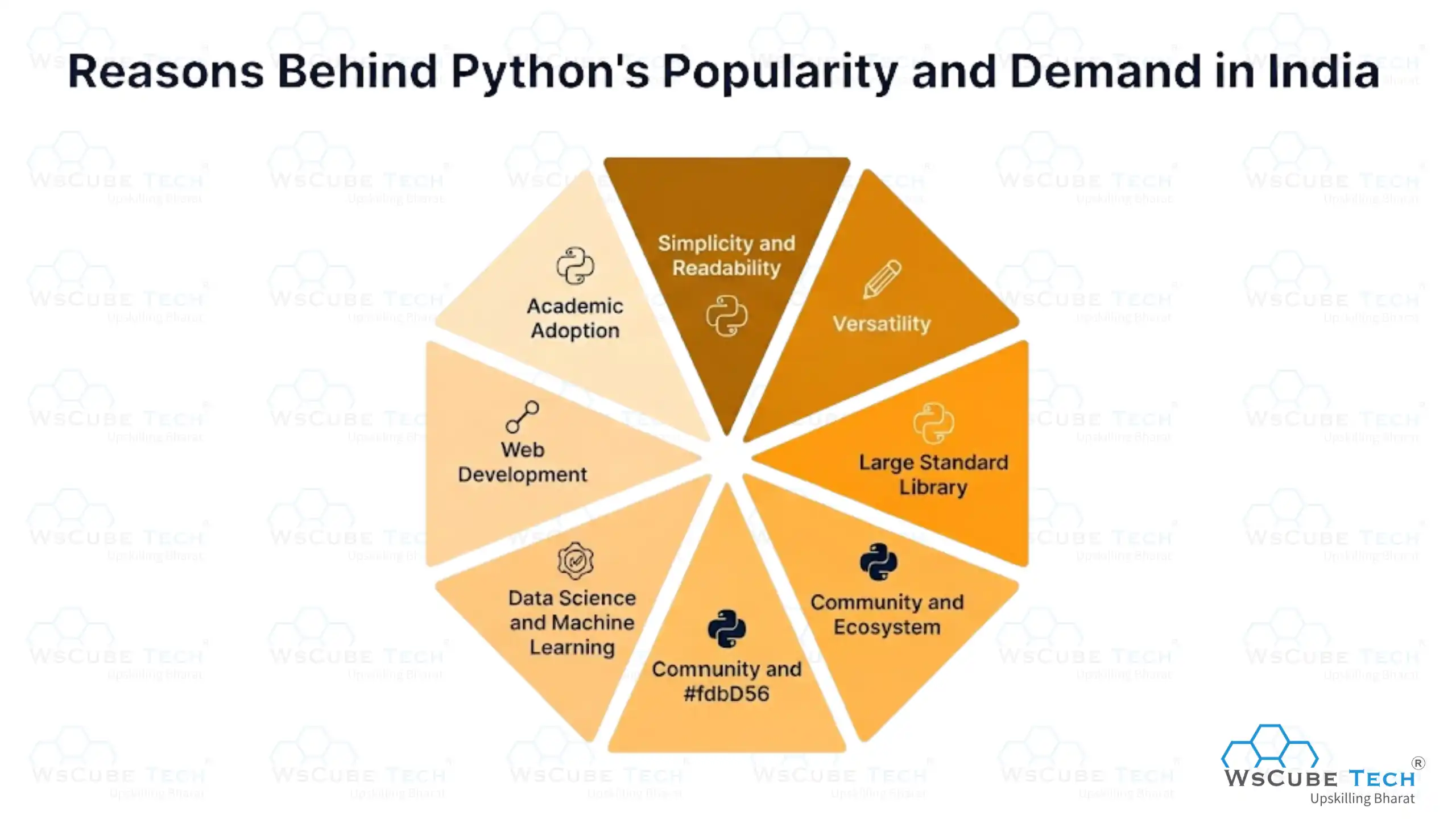 Reasons Behind Python's Popularity and Demand in India