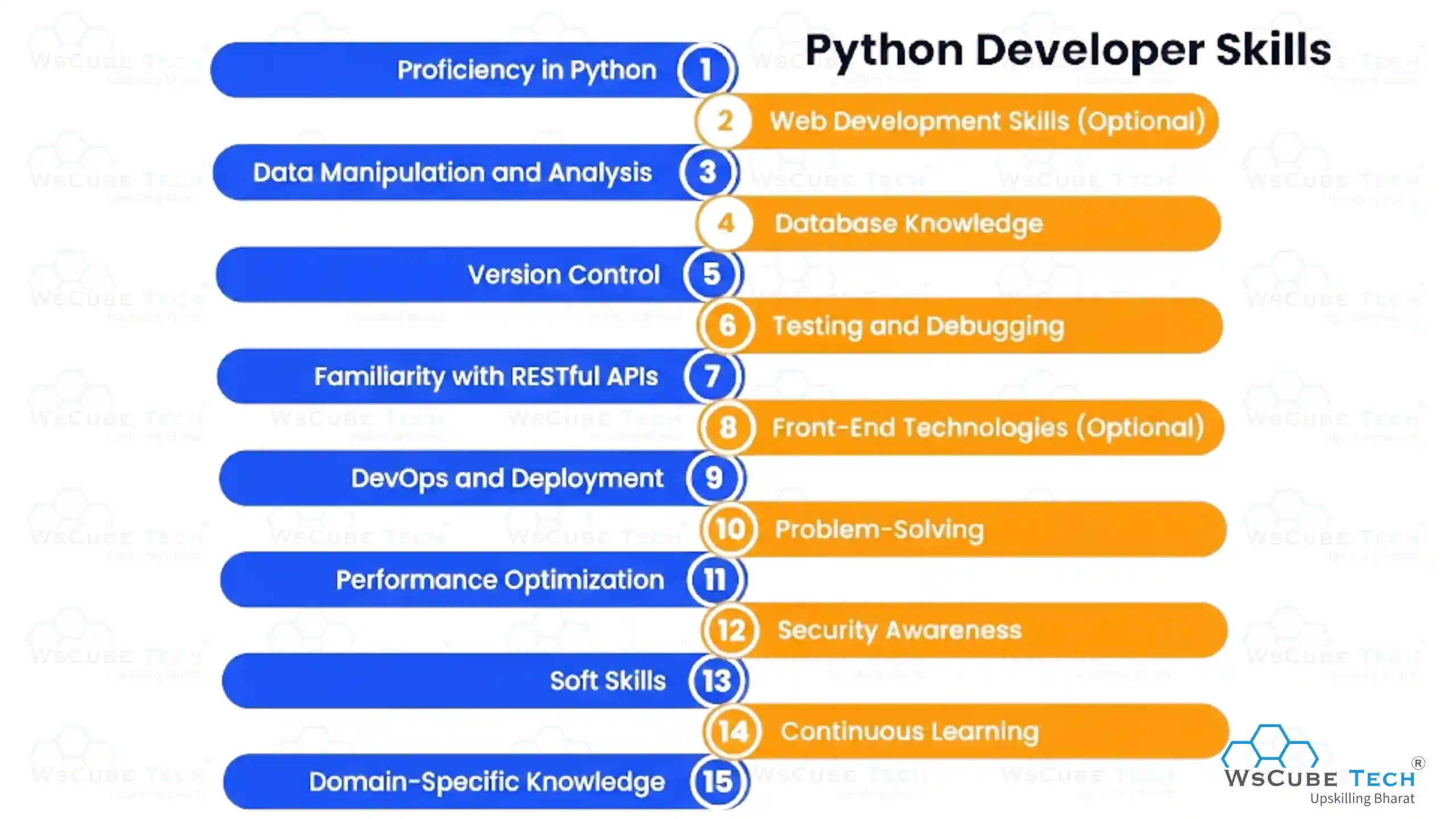 Python Developer Skills