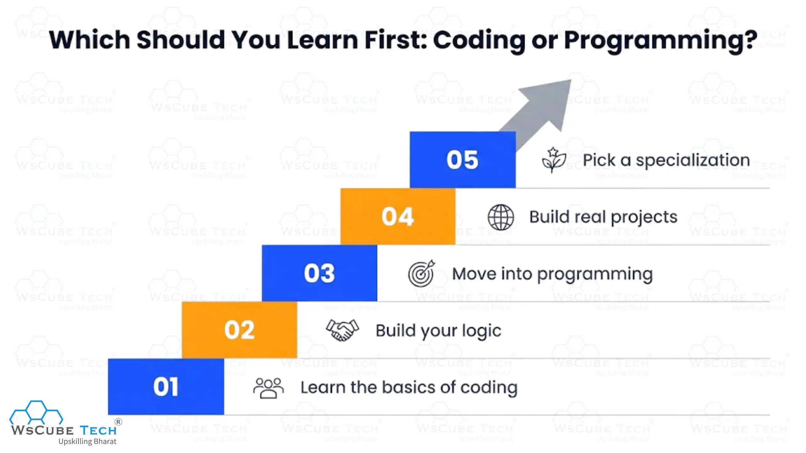 Which Should You Learn First: Coding or Programming?