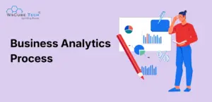 Business Analytics Process