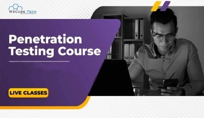  Online Penetration Testing Course in India (WS-PEN)